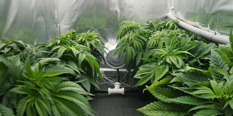 Cyrkulacja a system spustowy: wnioski końcowe