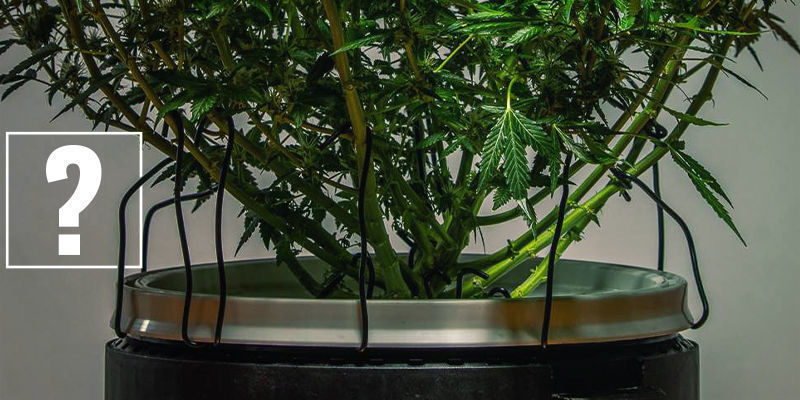 System recyrkulacyjny kontra drain-to-waste: co oznaczają te pojęcia?