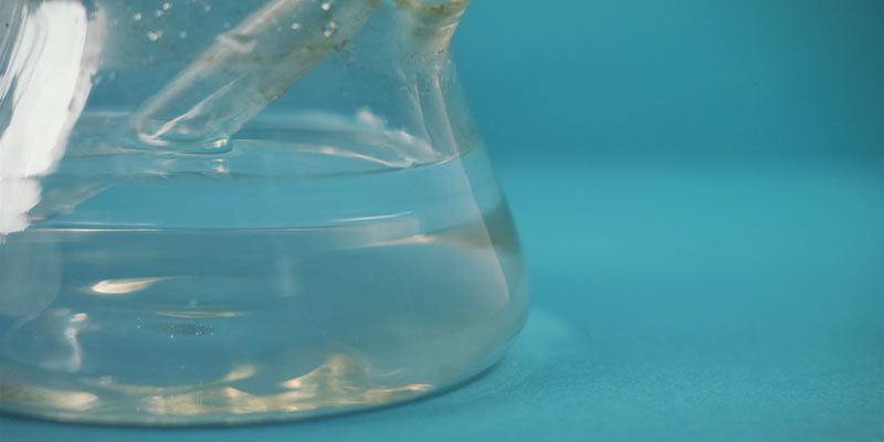 Bongi zapewniają filtrację wodną Bongi zapewniają filtrację wodną