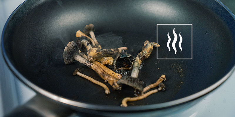 Ciepło, psylocybina i moc