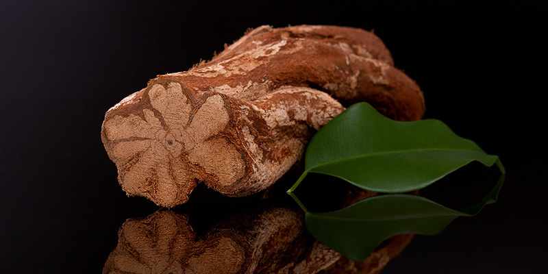 Czym jest ayahuasca? Czym jest ayahuasca?