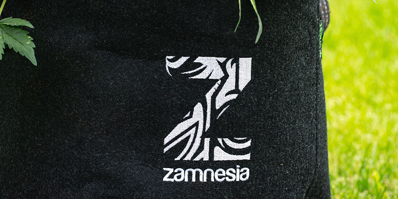 KUPIĆ CZY ZROBIĆ WŁASNY SMART POT?