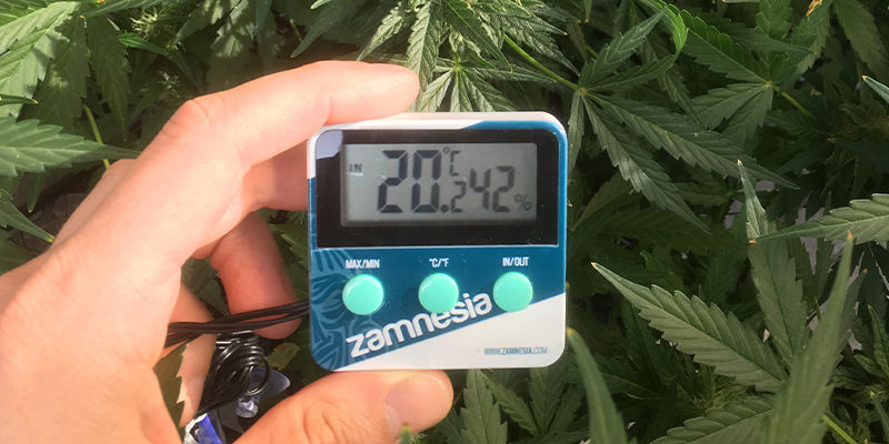 SMART POTS: POKONAJ UPAŁ