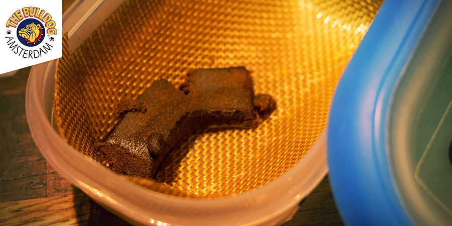 Najlepszy haszysz – coffeeshop The Bulldog Amsterdam
