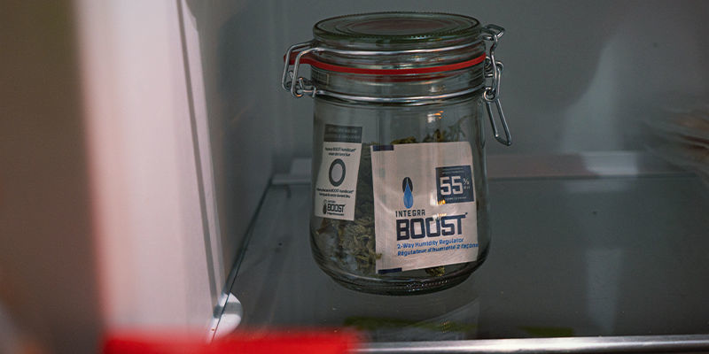 Czego absolutnie nie robić przy przechowywaniu marihuany