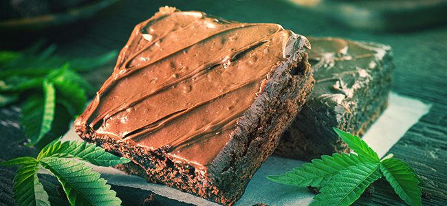 Czy produkty z marihuaną są dobre dla początkujących? Czy produkty z marihuaną są dobre dla początkujących?