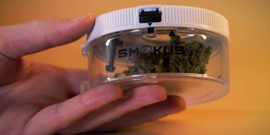 Historia Smokus Focus Historia Smokus Focus