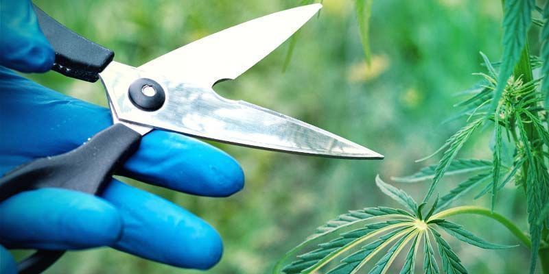 Topping i fimming TOPPING AND FIMMING