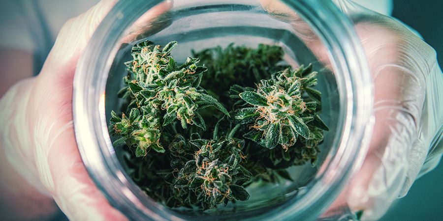 Keep your Weed Fresh