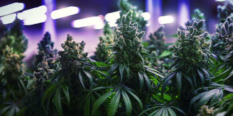 Różne rodzaje oświetlenia