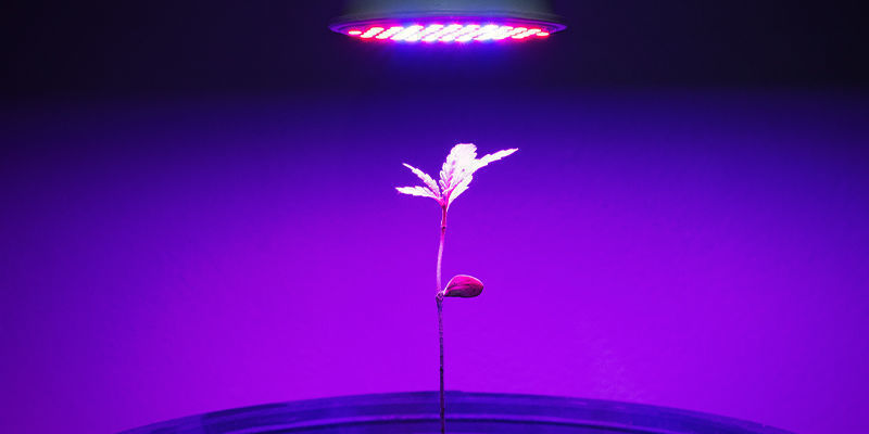 Odległość i ustawienie lamp