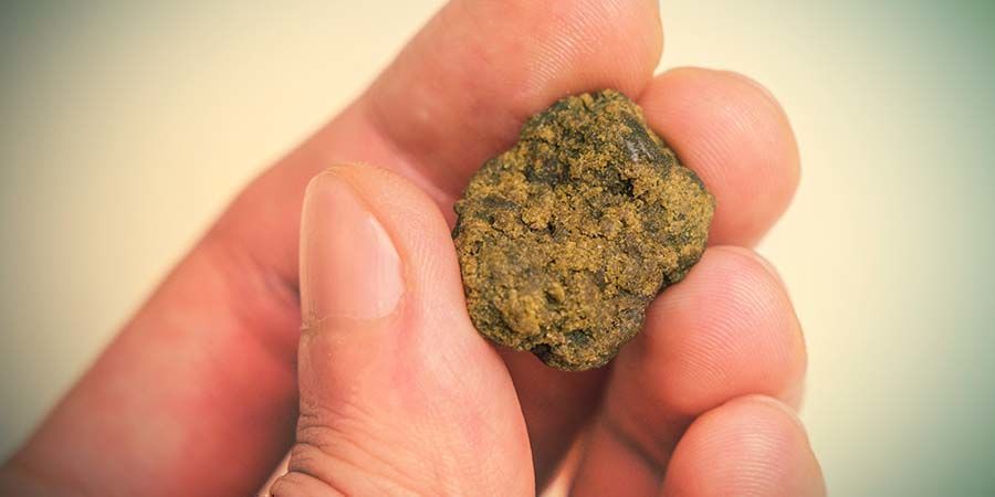 HASZ: ZBITA BRYŁA, NICZYM KALENDARZ ŚWIĄT KONOPNYCH