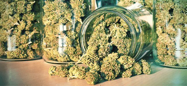 Błąd przy paleniu: przechowywanie zioła