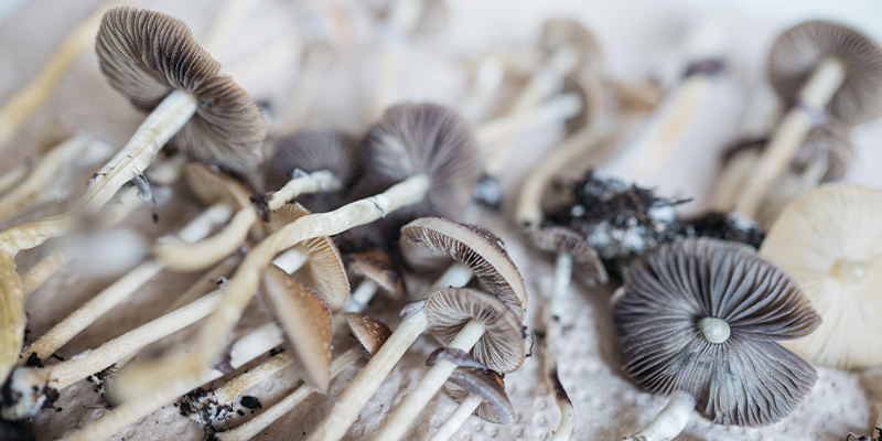 Czym są nootropiki?