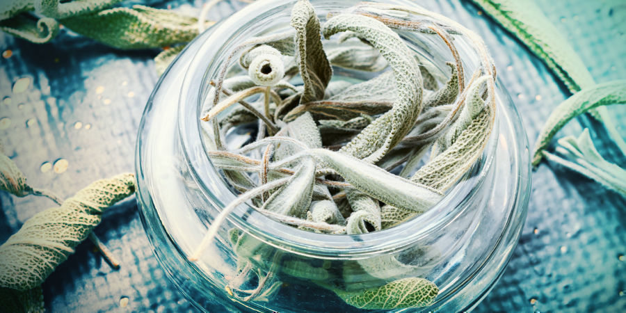 How Does Salvia Work And What Is The Correct Dosage? How Does Salvia Work And What Is The Correct Dosage?