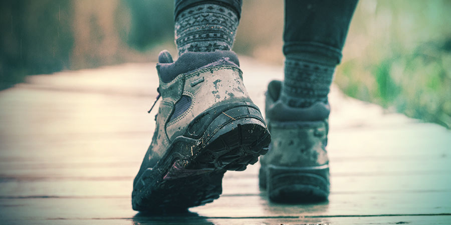 Purify Both Body And Mind Purify Both Body And Mind