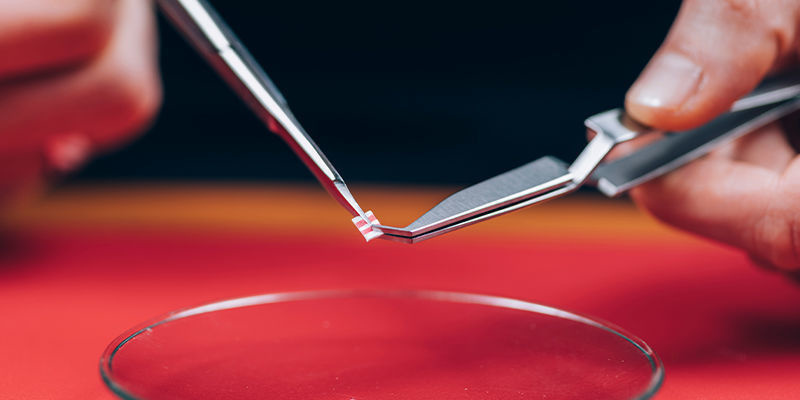 Które substancje wywołują śmierć ego?