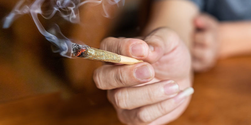 Zrozumieć działanie konopi