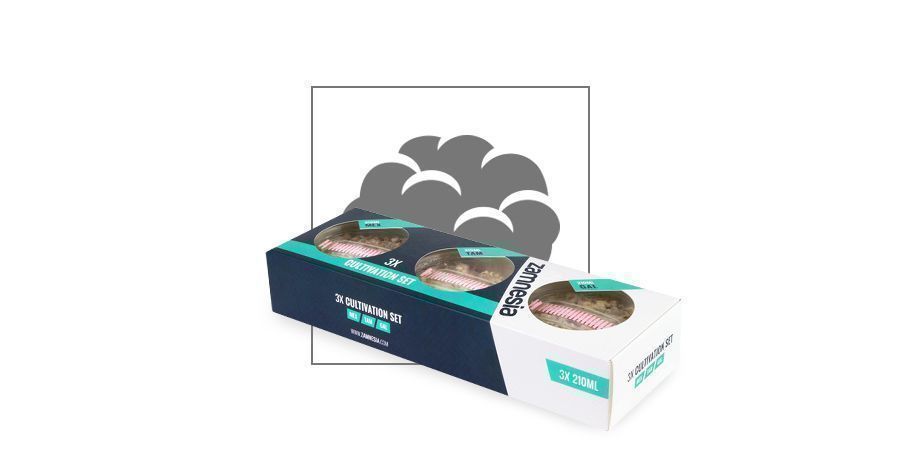 Zestaw do uprawy magicznych trufli Zamnesia