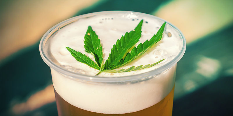 Brew Cannabis Alcohol Brew Cannabis Alcohol