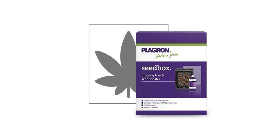 Plagron Seedbox – zestaw do kiełkowania