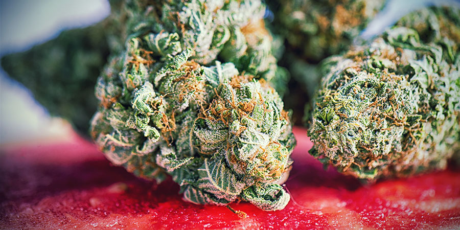 Najlepsze odmiany marihuany do medytacji Najlepsze odmiany marihuany do medytacji