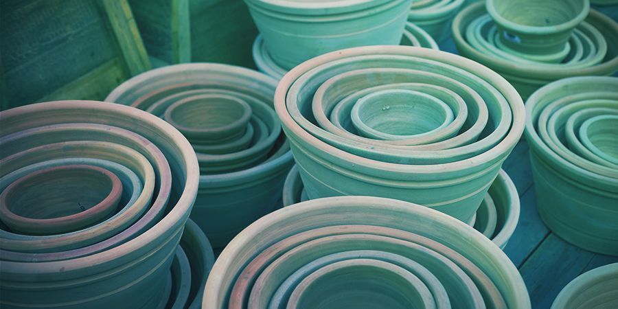 Dlaczego potrzebuję częstych przesadzeń? DLACZEGO POTRZEBUJĘ CZĘSTYCH PRZESADZEŃ?