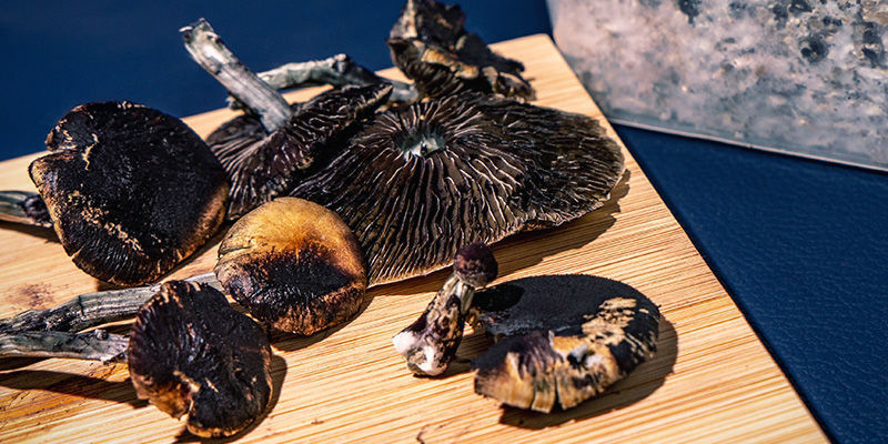 Grzybki halucynki: kiedy jest już za późno?