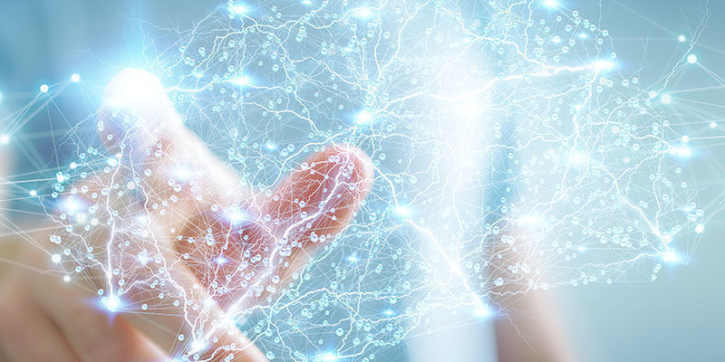 Mechanism Of Action Mechanism Of Action