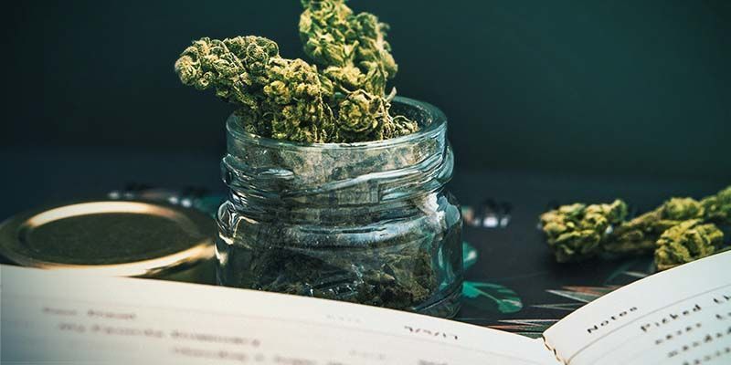 Kim jest dr Lester Grinspoon? Kim jest dr Lester Grinspoon?