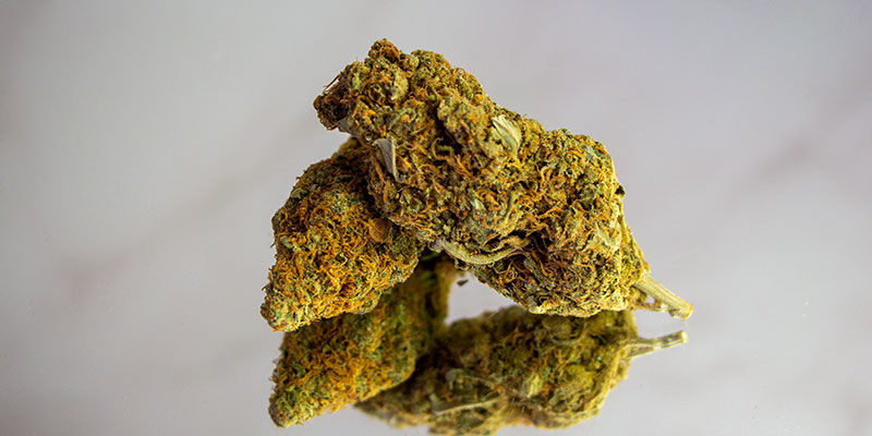 Wypróbuj odmiany o wysokiej zawartości THC Wypróbuj odmiany o wysokiej zawartości THC