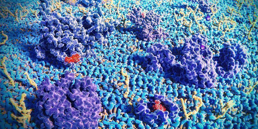 CBC ma potencjał współdziałania z innymi kannabinoidami