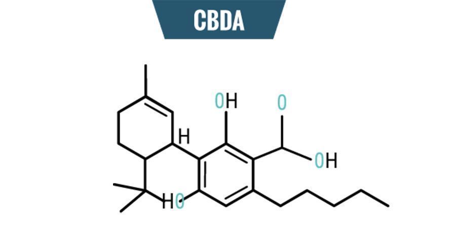 Chemia CBDA