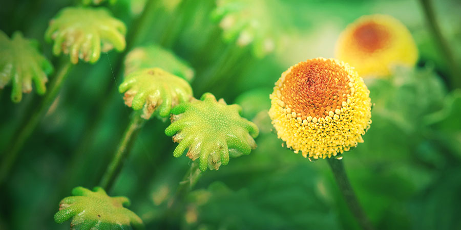 Na wolności Na wolności