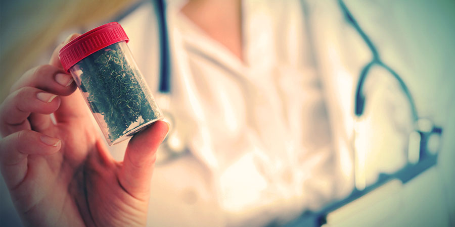 Znaczenie alternatywnych źródeł kannabinoidów Znaczenie alternatywnych źródeł kannabinoidów