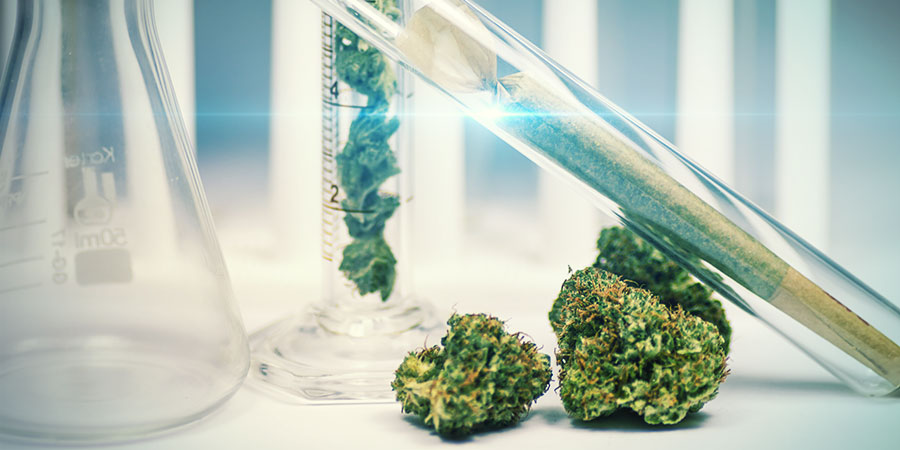 Other Genes In The Pool OTHER GENES IN THE POOL