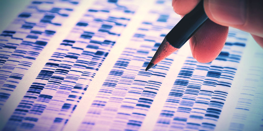 Różnice w CB1 i CB2 RÓŻNICE W CB1 I CB2