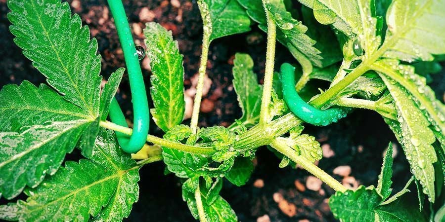 HST: techniki treningu wysokostresowego