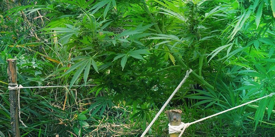 LST: TECHNIKI TRENINGU NISKIEGO STRESU