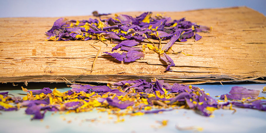 View Blue Lotus View Blue Lotus