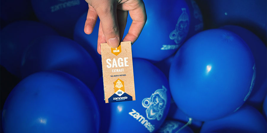 View Salvia Divinorum View Salvia Divinorum