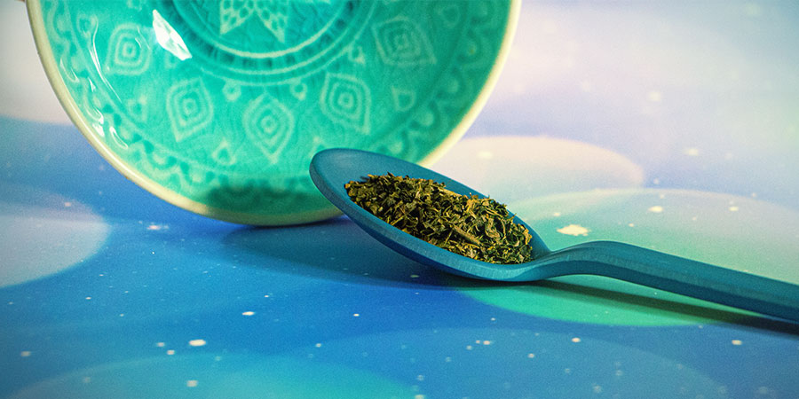 View Calea zacatechichi View Calea zacatechichi