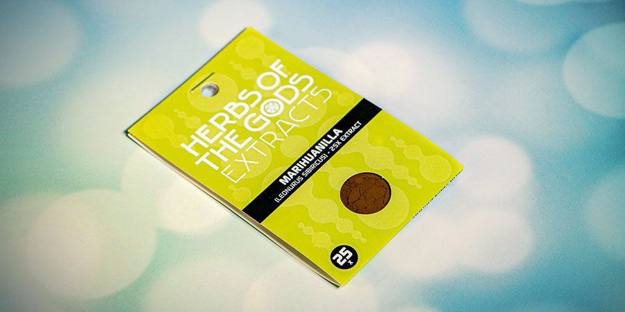 Zobacz Marihuanillę Zobacz Marihuanillę