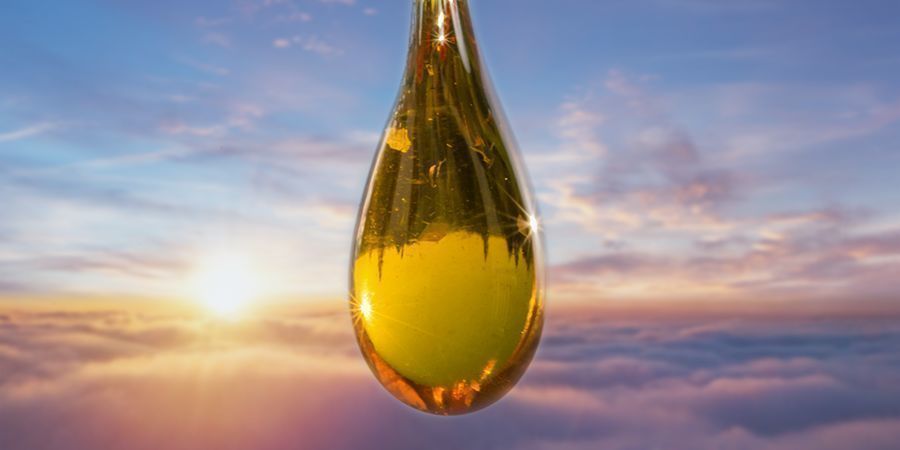 Using Terpinolene Using Terpinolene