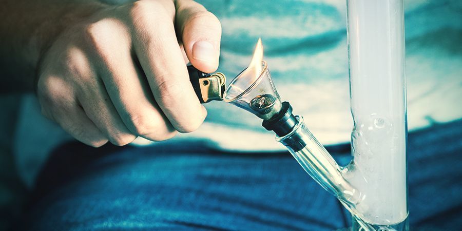 Effects And Cannabinoid Levels Of Purple Punch Effects And Cannabinoid Levels Of Purple Punch