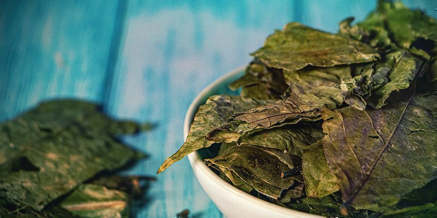 Czym jest ayahuasca?