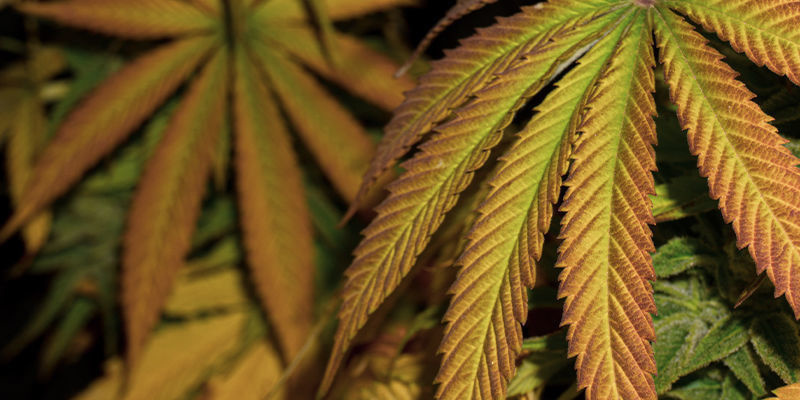 Rozkoszuj się jesiennym klimatem!