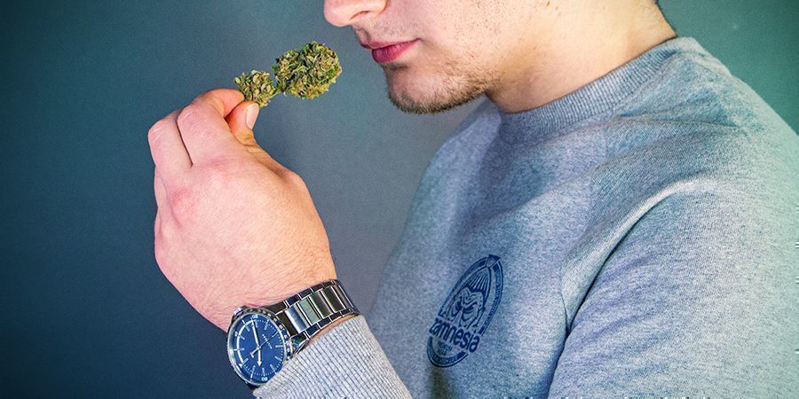 Czy marihuana może się przeterminować?