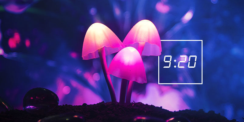 Historia 920 Historia 920