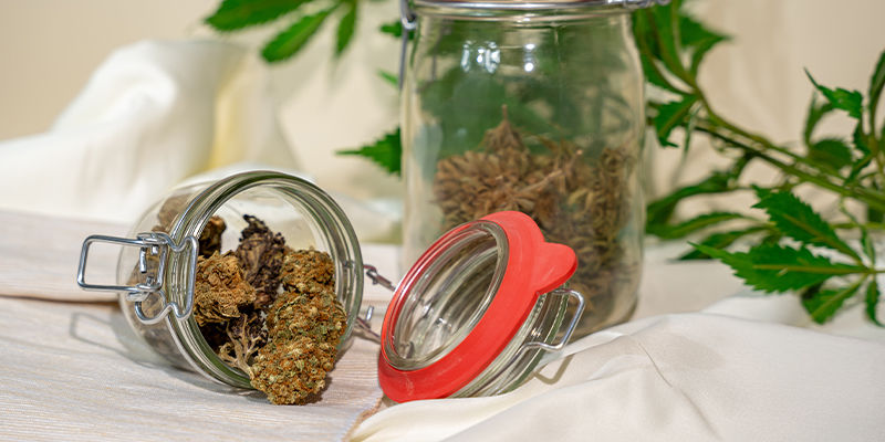 Na czym polega burpowanie i dlaczego warto burpować topy? Na czym polega burpowanie i dlaczego warto burpować topy?